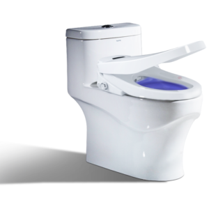 Toilet Seat Bidet