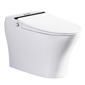 Smart Toilets