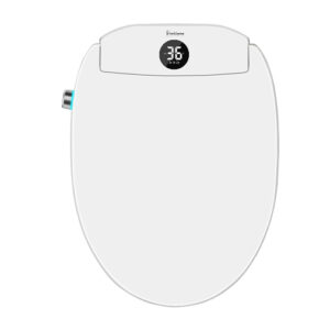BG2900-RCE